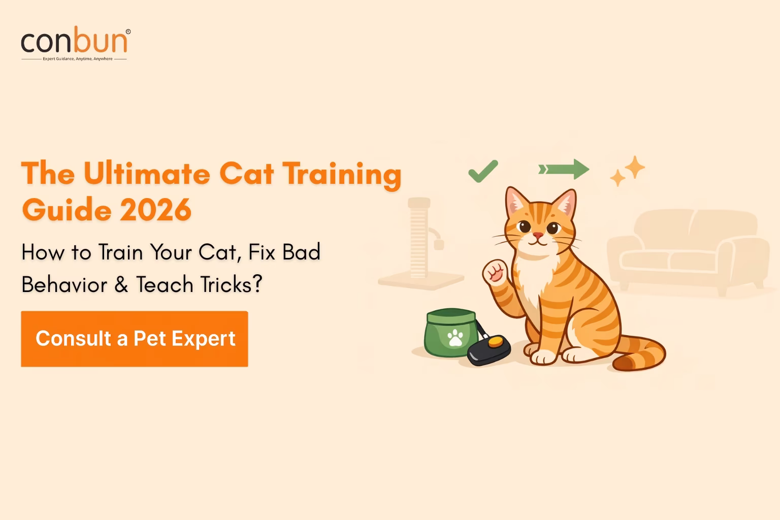 How to Train a Cat: Complete Vet-Backed Cat Training Guide 2026